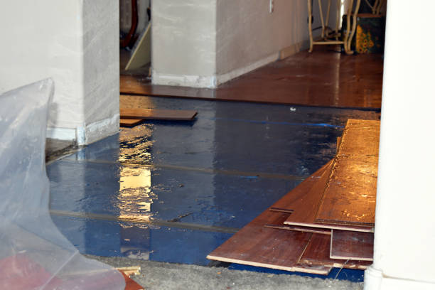 Professional Basement Water Removal technician working in Ola, ID